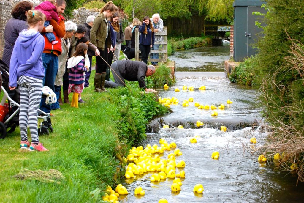 Duck Race Sydling St. Nicholas Village site